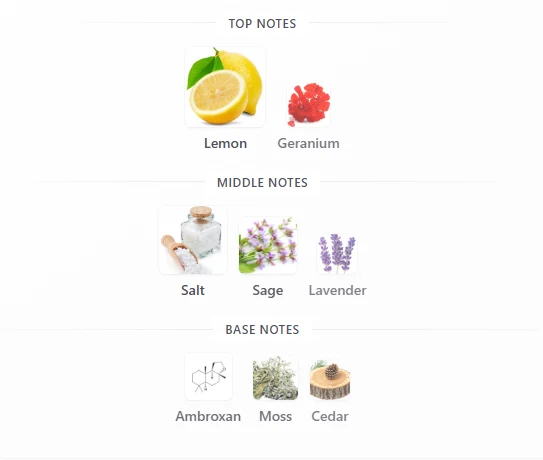 French Avenue Ravine Ice scent profile 1
