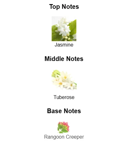 Gucci Bloom scent profile 1
