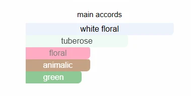 Gucci Bloom scent profile 2
