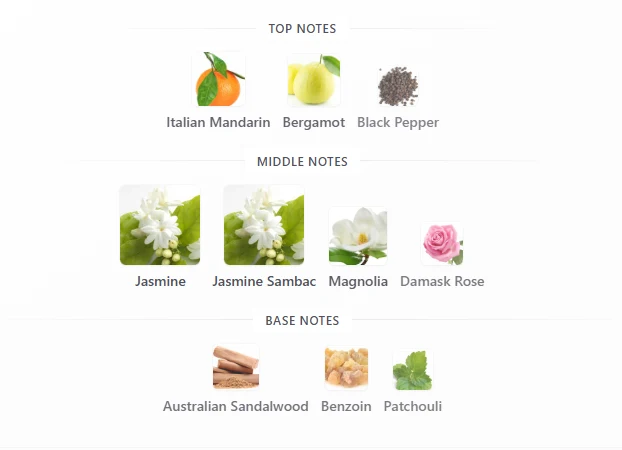 Gucci Flora Gorgeous Jasmine scent profile 1