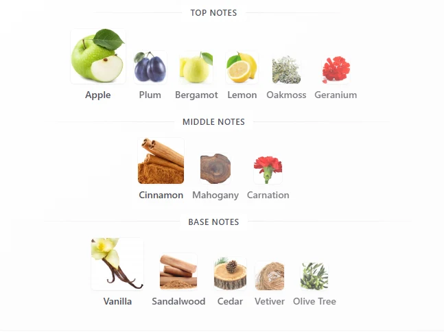 Hugo Boss Bottled scent profile 1