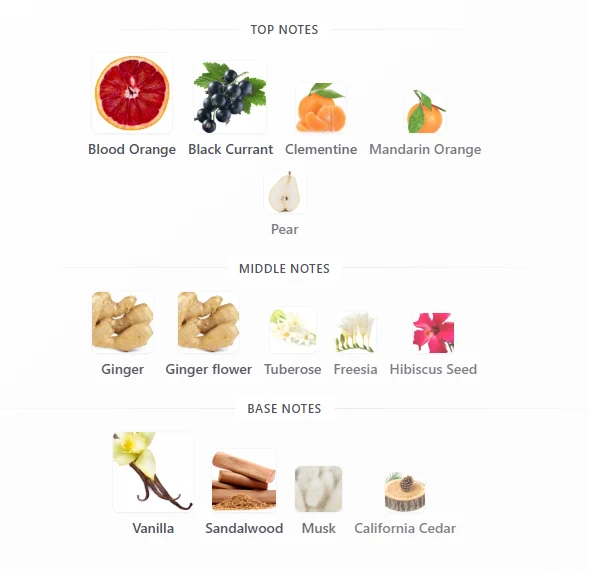 Hugo Boss Deep Red scent profile 1