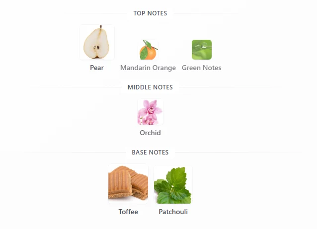 Jimmy Choo EDT scent profile 1