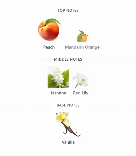 Jimmy Choo I Want Choo scent profile 1