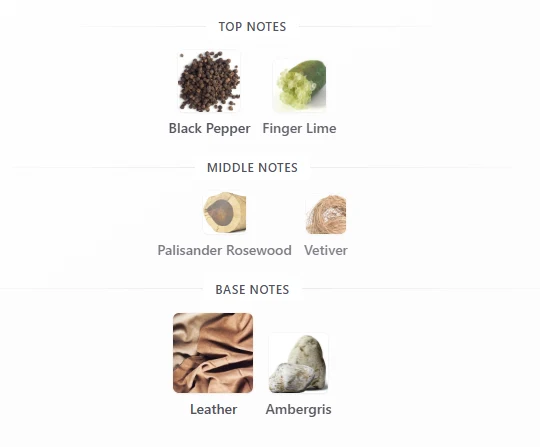 Jimmy Choo Urban Hero scent profile 1