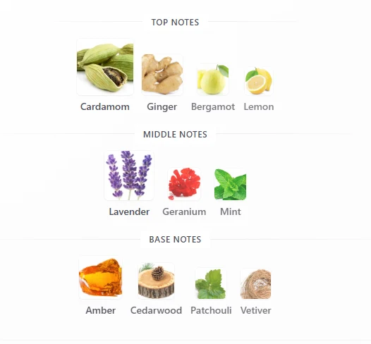 Lattafa Al Nashima scent profile 1