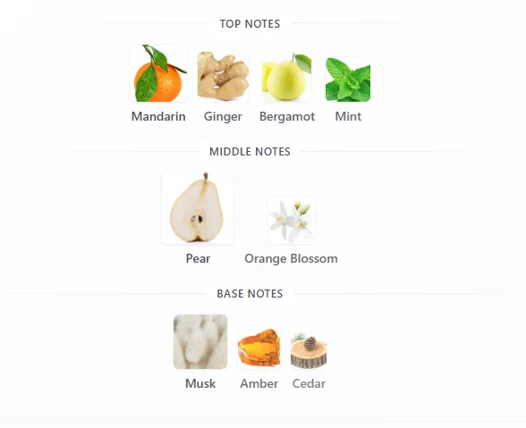 Lattafa Art Of Universe scent profile 1