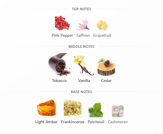 Lattafa Asad Elixir scent profile 1