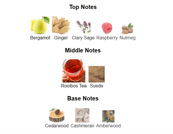 Lattafa Dynasty scent profile 1