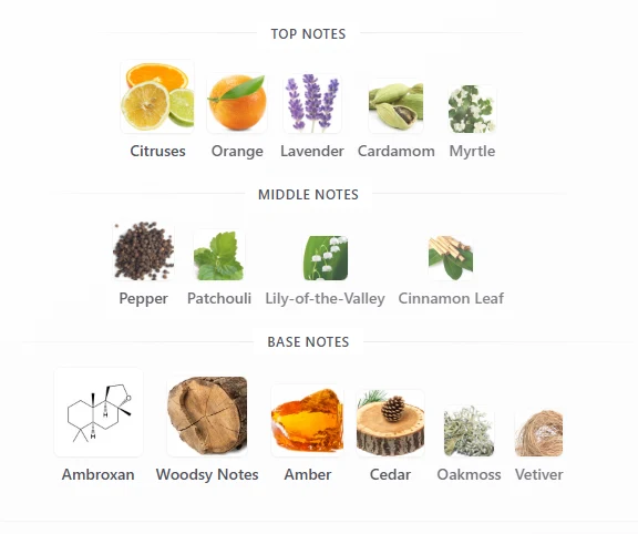 Lattafa Ejaazi scent profile 1