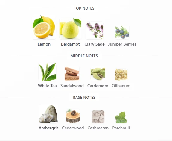 Lattafa Emeer scent profile 1