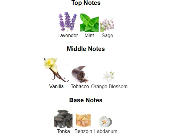 Lattafa The kingdom scent profile 1