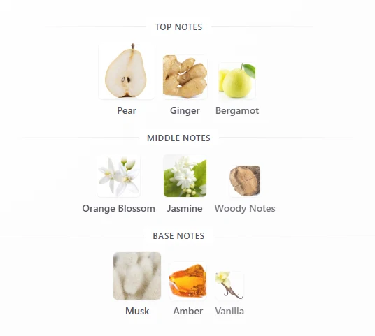 Maison Asrar Legacy scent profile 1