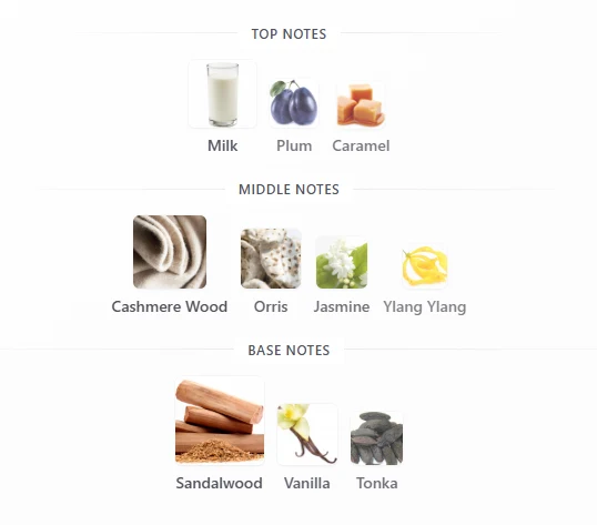 Maison Asrar Milky Way scent profile 1