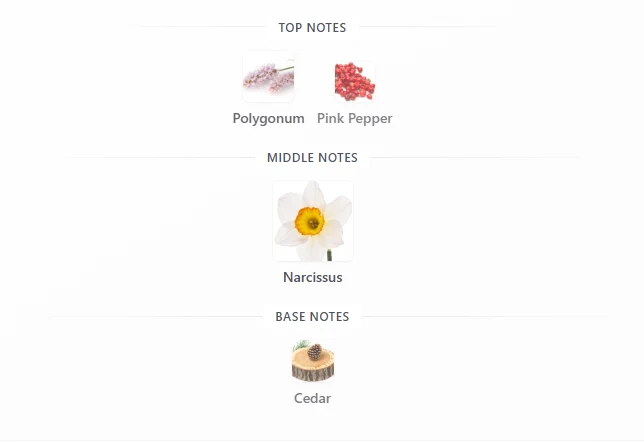 Marc Jacobs Perfect scent profile 1