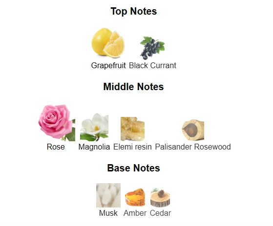 Mercedes Benz Rose scent profile 1