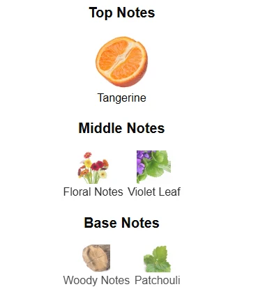 Mercedes Benz Sea scent profile 1