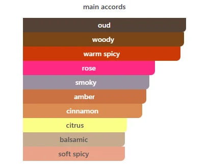 Polo Oud scent profile 2