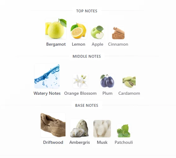 Rasasi Hawas Atlantis scent profile 1