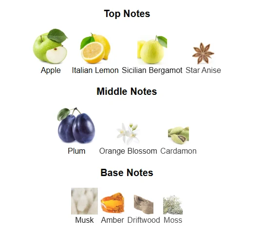 Rasasi Hawas Ice scent profile 1