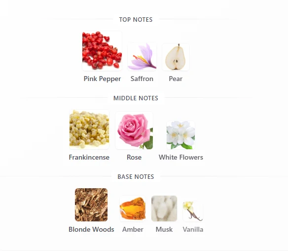 Rasasi Hawas London scent profile 1