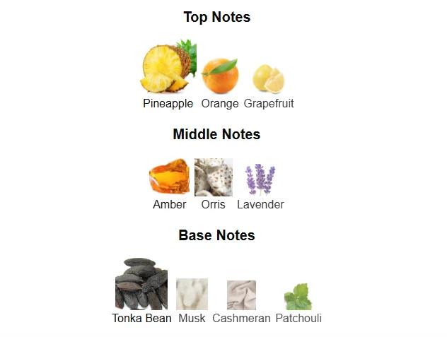 Rasasi Hawas Malibu scent profile 1