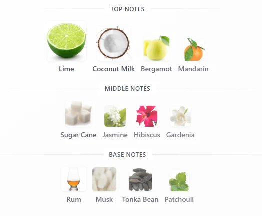 Rayhaan Aquatica scent profile 1