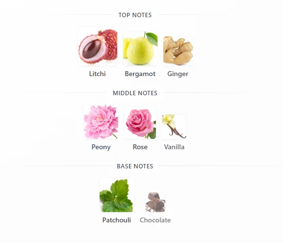 Rayhaan Divine scent profile 1