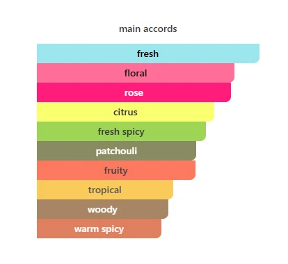Rayhaan Divine scent profile 2