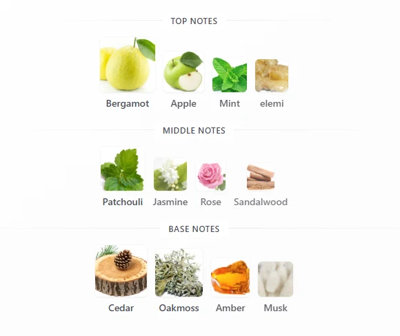 Rayhaan Imperia scent profile 1