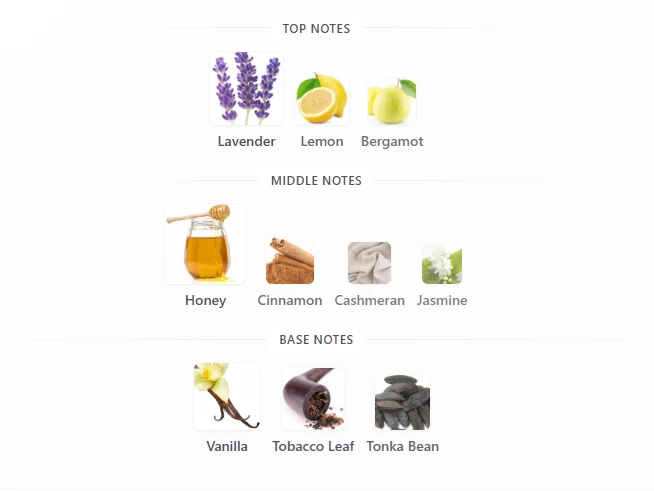 Rayhaan Italia scent profile 1