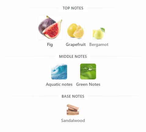 Rayhaan Jungle Vibe scent profile 1