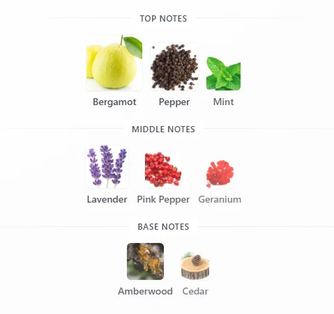 Rayhaan Nocturno scent profile 1
