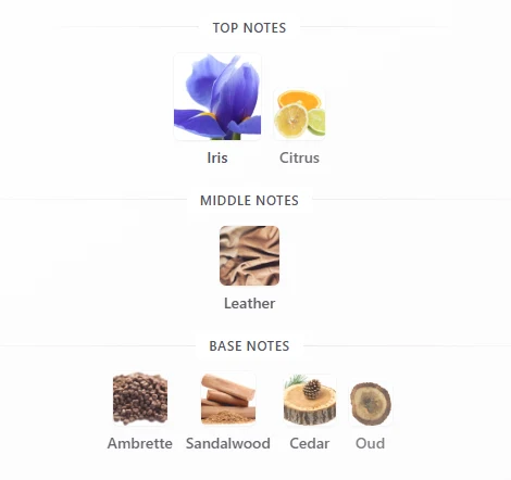 Rayhaan Obsidian scent profile 1