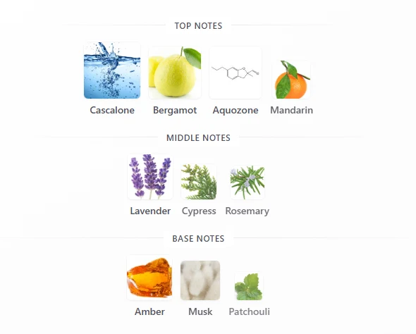 Rayhaan Ocean Rush scent profile 1