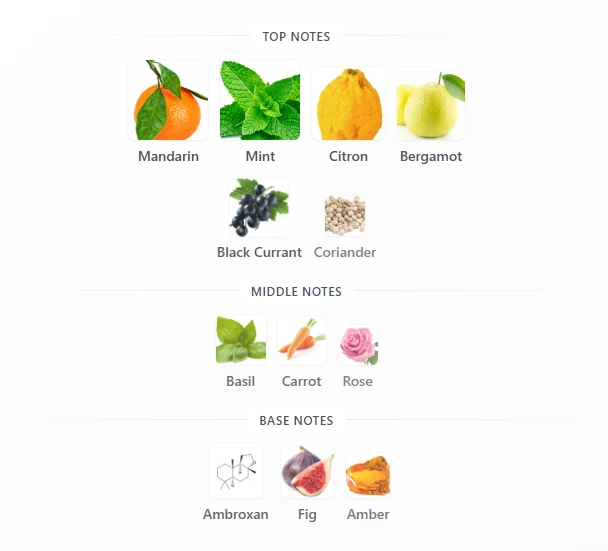 Rayhaan Pacific Aura scent profile 1