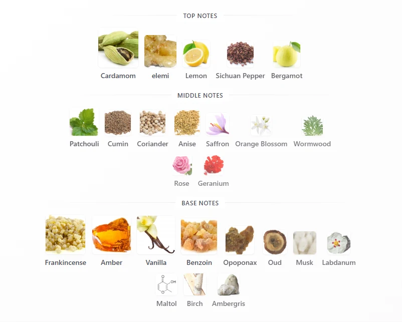 Rayhaan Terra scent profile 1
