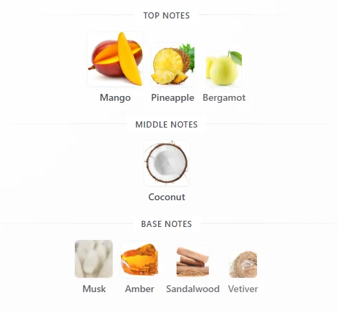 Rayhaan Tropical Vive scent profile 1