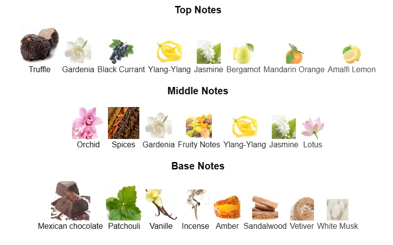 Tom Ford Black Orchid scent profile 1