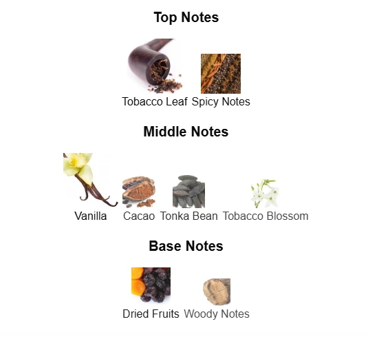 Tom Ford Tobacco Vanille scent profile 1