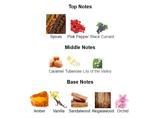Versace Crystal Noir EDP scent profile 1