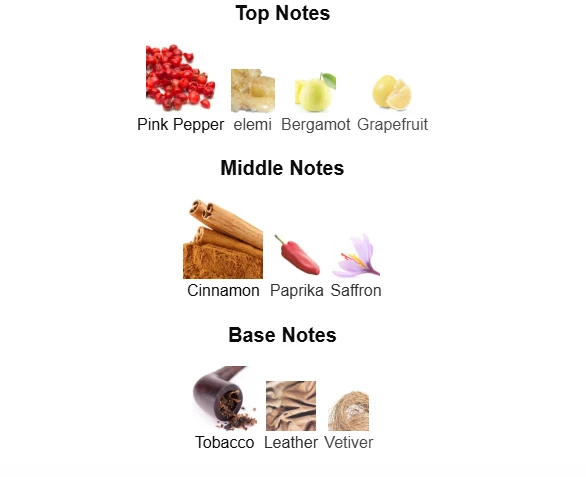 Viktor & Rolf Spicebomb scent profile 1