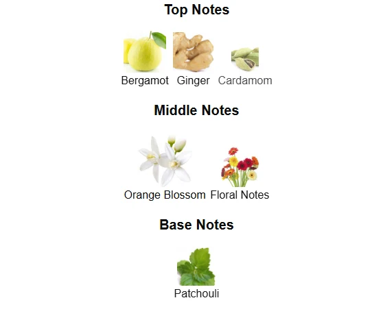YSL MYSLF L’Absolu scent profile 1